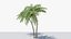 Lowpoly Coconut Palm v6 3D model