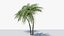 Lowpoly Coconut Palm v6 3D model
