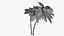 Lowpoly Coconut Palm v6 3D model