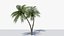 Lowpoly Coconut Palm v6 3D model