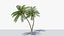 Lowpoly Coconut Palm v6 3D model