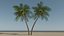 Lowpoly Coconut Palm v6 3D model