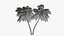 Lowpoly Coconut Palm v6 3D model
