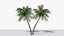 Lowpoly Coconut Palm v6 3D model