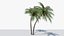 Lowpoly Coconut Palm v6 3D model