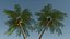 Lowpoly Coconut Palm v6 3D model