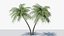 Lowpoly Coconut Palm v6 3D model