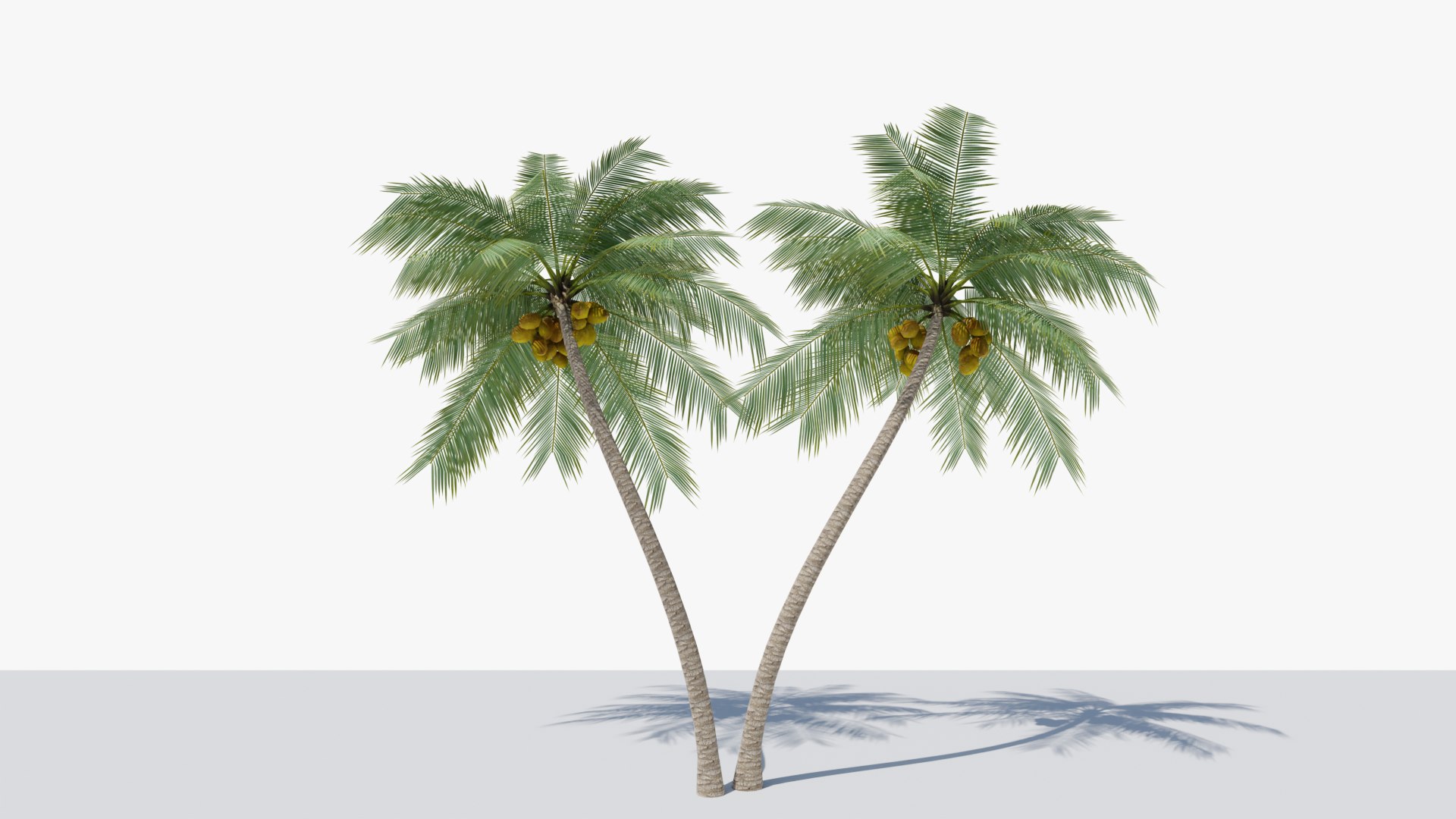 Lowpoly Coconut Palm v6 3D model https://p.turbosquid.com/ts-thumb/KB/Vo9T1S/xO/01/png/1680002432/1920x1080/fit_q87/8bd00e3e8750ed639fe7fc291991b86fdb3b8122/01.jpg