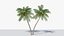Lowpoly Coconut Palm v6 3D model