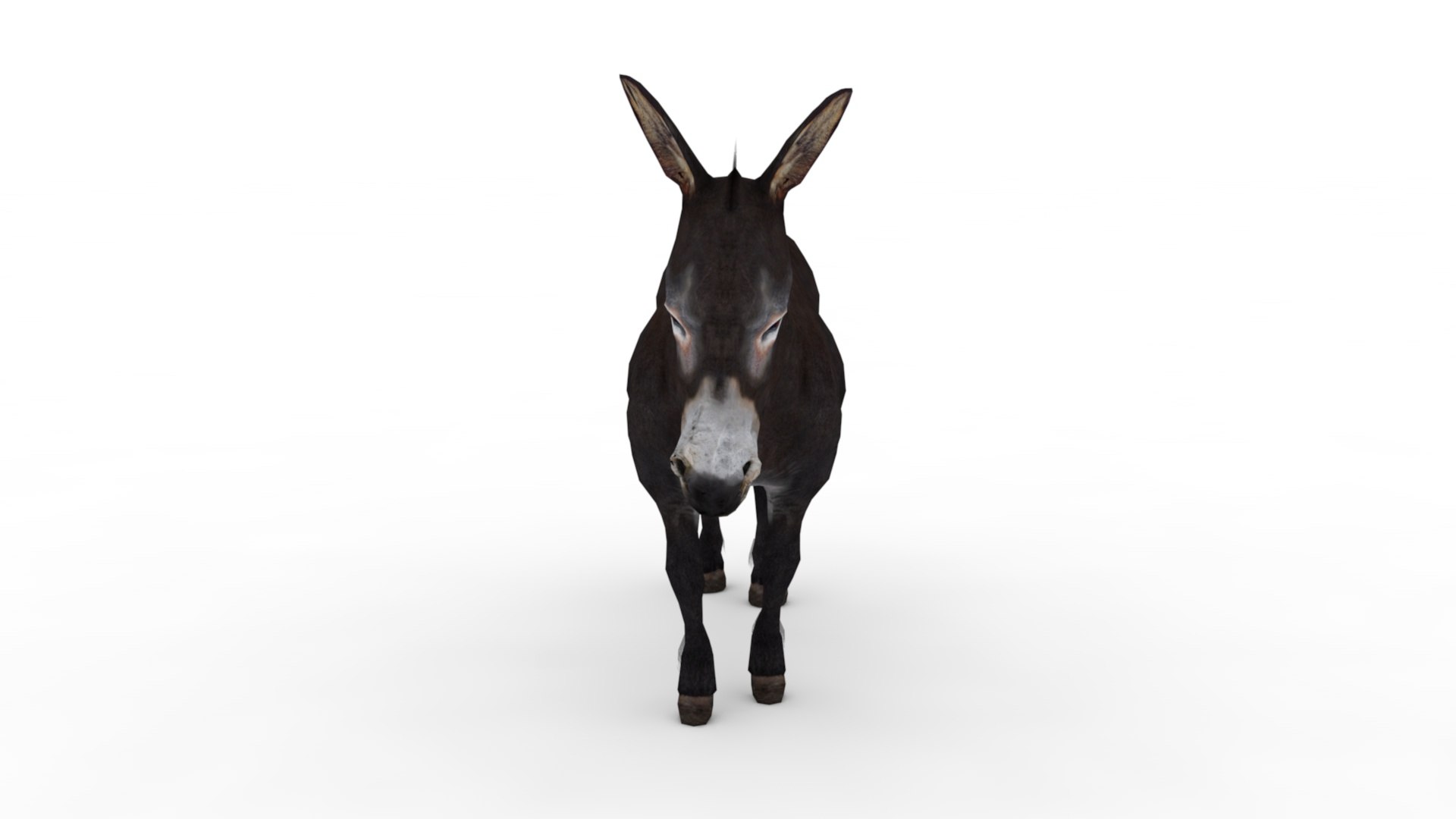 3D Model Donkey - TurboSquid 2237368