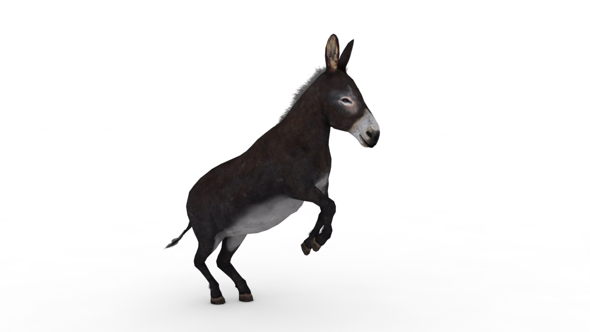 3D Model Donkey - TurboSquid 2237368
