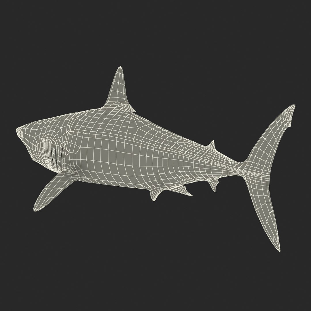 Shortfin Mako Shark 3d 3ds