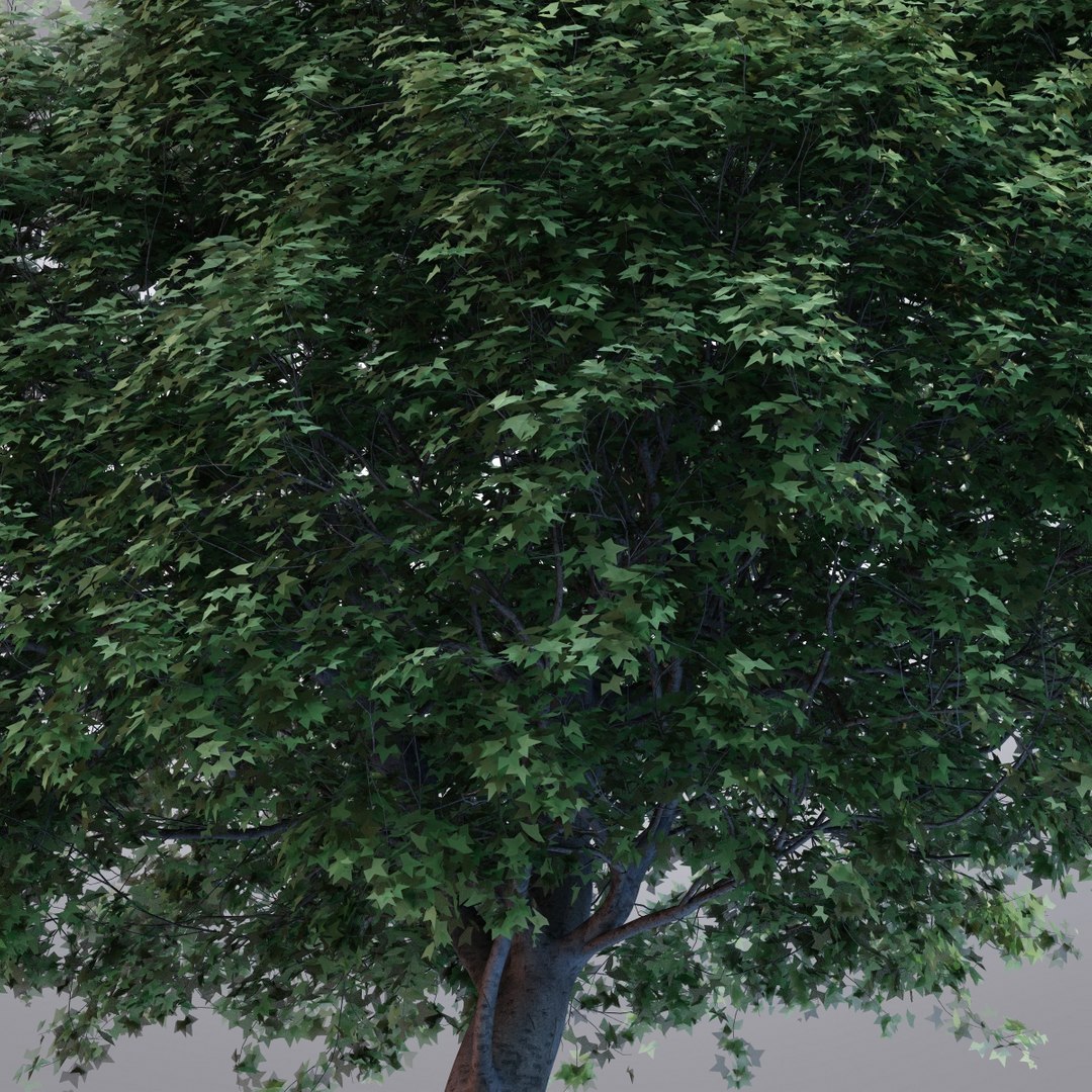 hi realistic series tree max