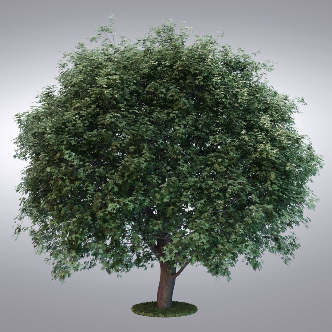 hi realistic series tree max