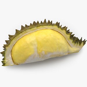 Durian Slice 01 3D model