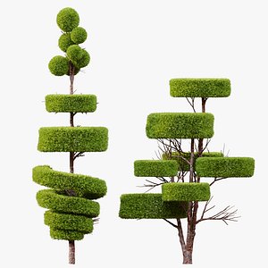 3D Topiary trees model