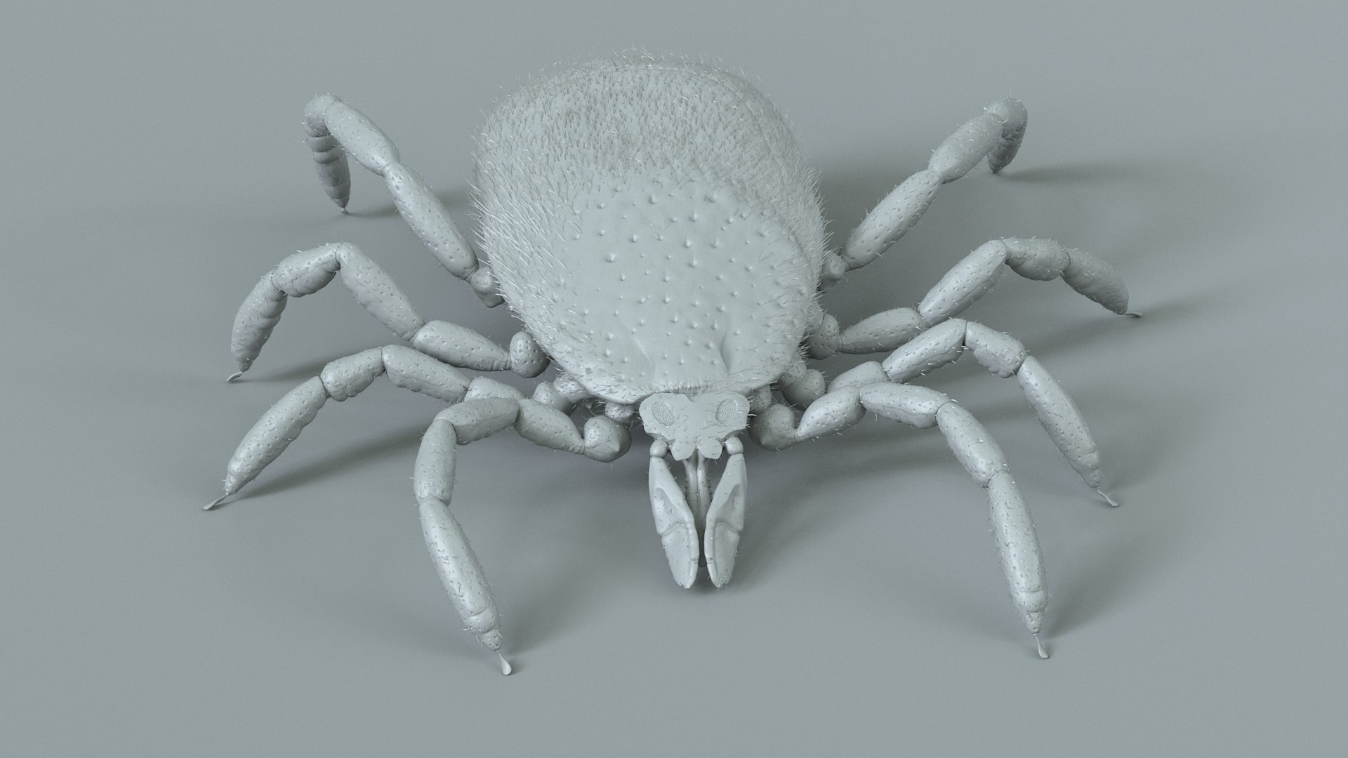 3D Tick Rigged Xgen https://p.turbosquid.com/ts-thumb/KC/7EmQjp/2X/tick_rigged_17/jpg/1717751376/1920x1080/fit_q87/d91786a55b62b106e0c98739308914f6898e5896/tick_rigged_17.jpg