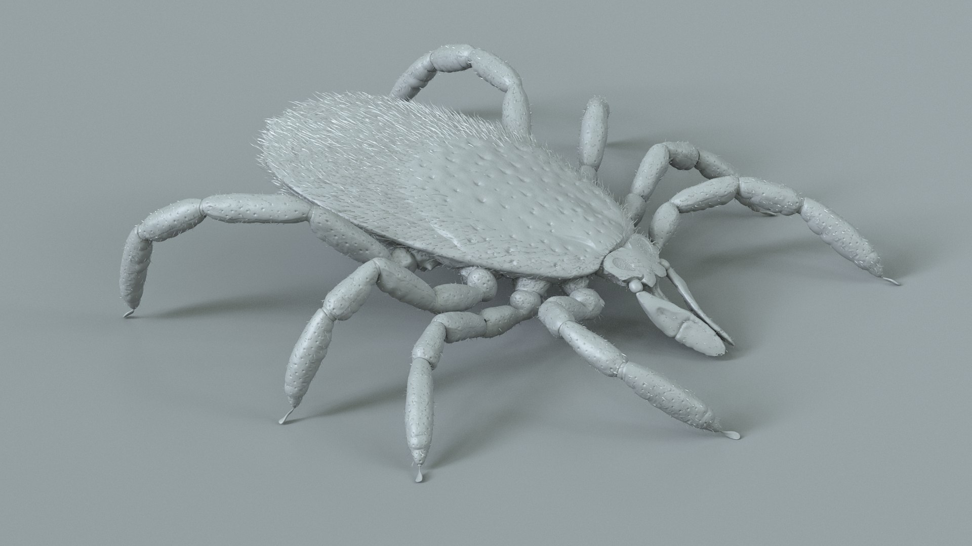 3D Tick Rigged Xgen https://p.turbosquid.com/ts-thumb/KC/7EmQjp/8A/tick_rigged_11/jpg/1717751369/1920x1080/fit_q87/7d483cd6555d37796ea0e061c25f99c3a54dc0a7/tick_rigged_11.jpg