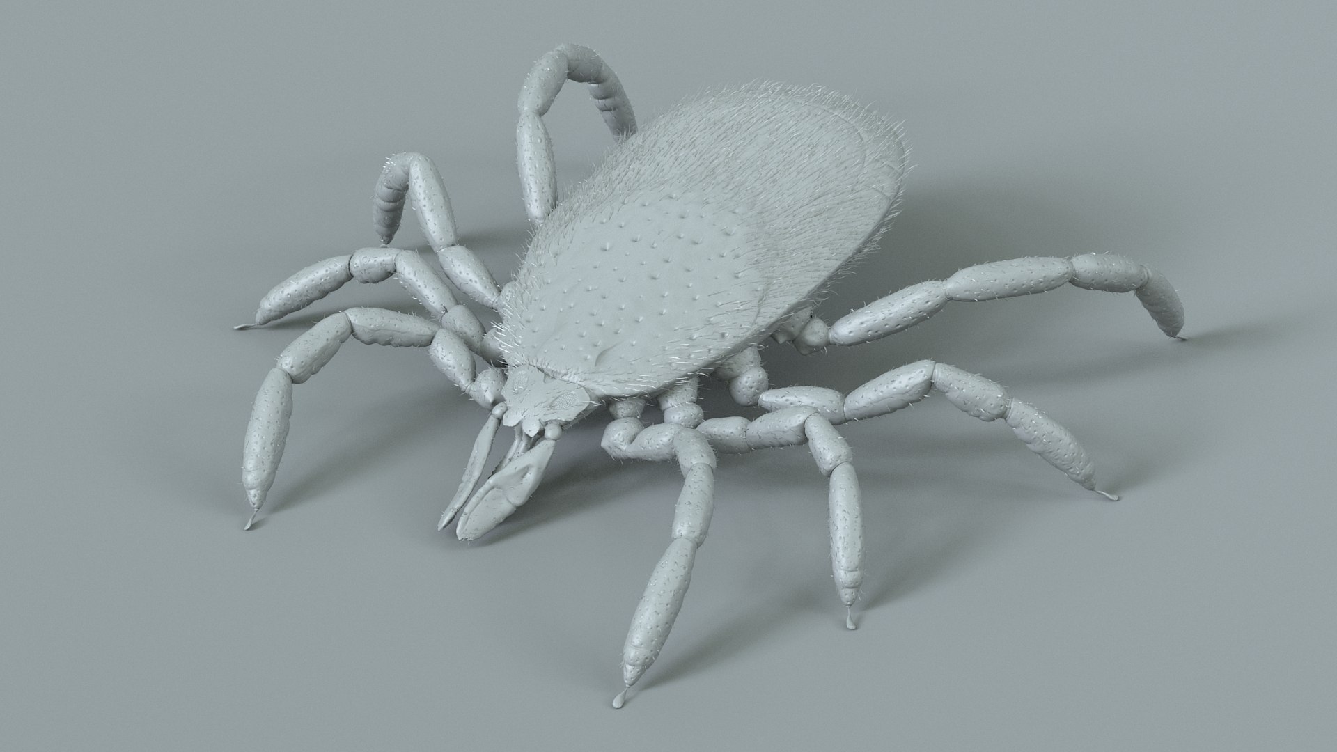 3D Tick Rigged Xgen https://p.turbosquid.com/ts-thumb/KC/7EmQjp/GP/tick_rigged_16/jpg/1717751372/1920x1080/fit_q87/6706503b9b0d95e3f6aac2b5c8df87d33c4f7d96/tick_rigged_16.jpg