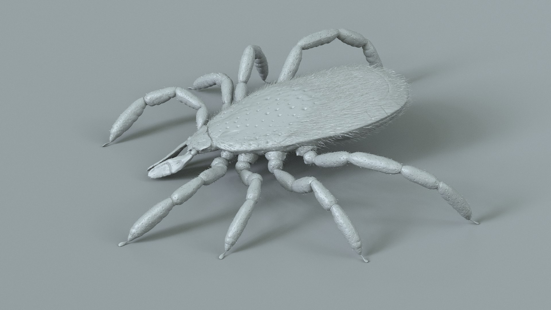 3D Tick Rigged Xgen https://p.turbosquid.com/ts-thumb/KC/7EmQjp/Jl/tick_rigged_15/jpg/1717751371/1920x1080/fit_q87/0b4bd607242d64ddf5bf4f7c9aed8104ddcfd0e8/tick_rigged_15.jpg