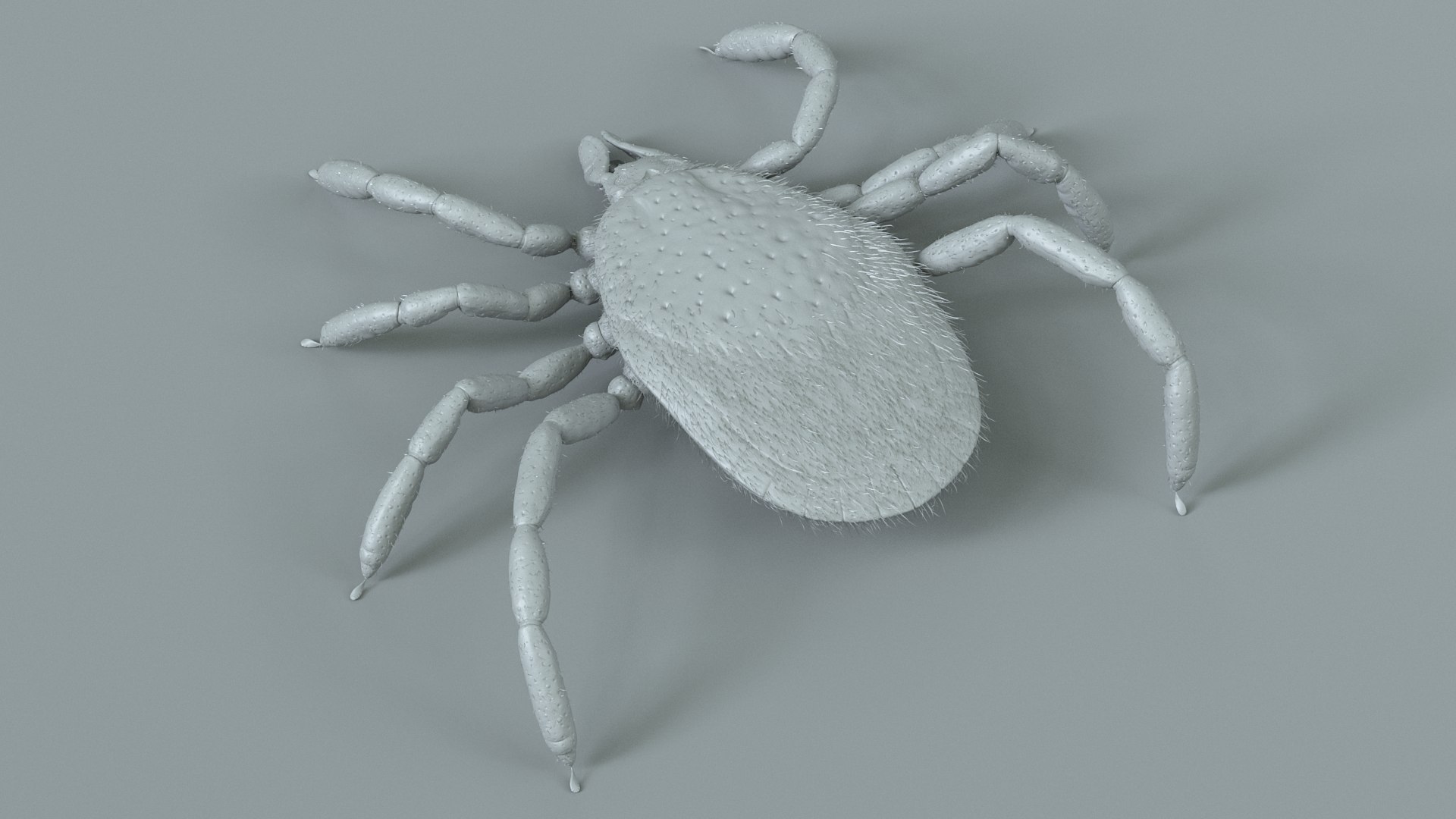 3D Tick Rigged Xgen https://p.turbosquid.com/ts-thumb/KC/7EmQjp/Ng/tick_rigged_14/jpg/1717751370/1920x1080/fit_q87/1d16c2d0d4de3ae863d48a651f467ec4590bb9bc/tick_rigged_14.jpg