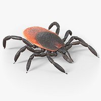 Tick Rigged Xgen