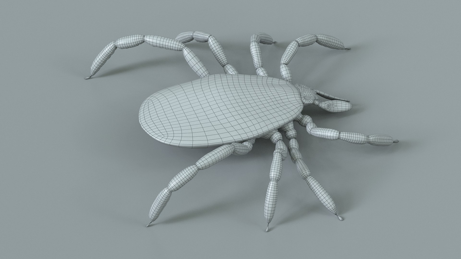 3D Tick Rigged Xgen https://p.turbosquid.com/ts-thumb/KC/7EmQjp/VK/tick_rigged_20/jpg/1717751376/1920x1080/fit_q87/519726b9c16481eff901e85f394645c6d1652db8/tick_rigged_20.jpg