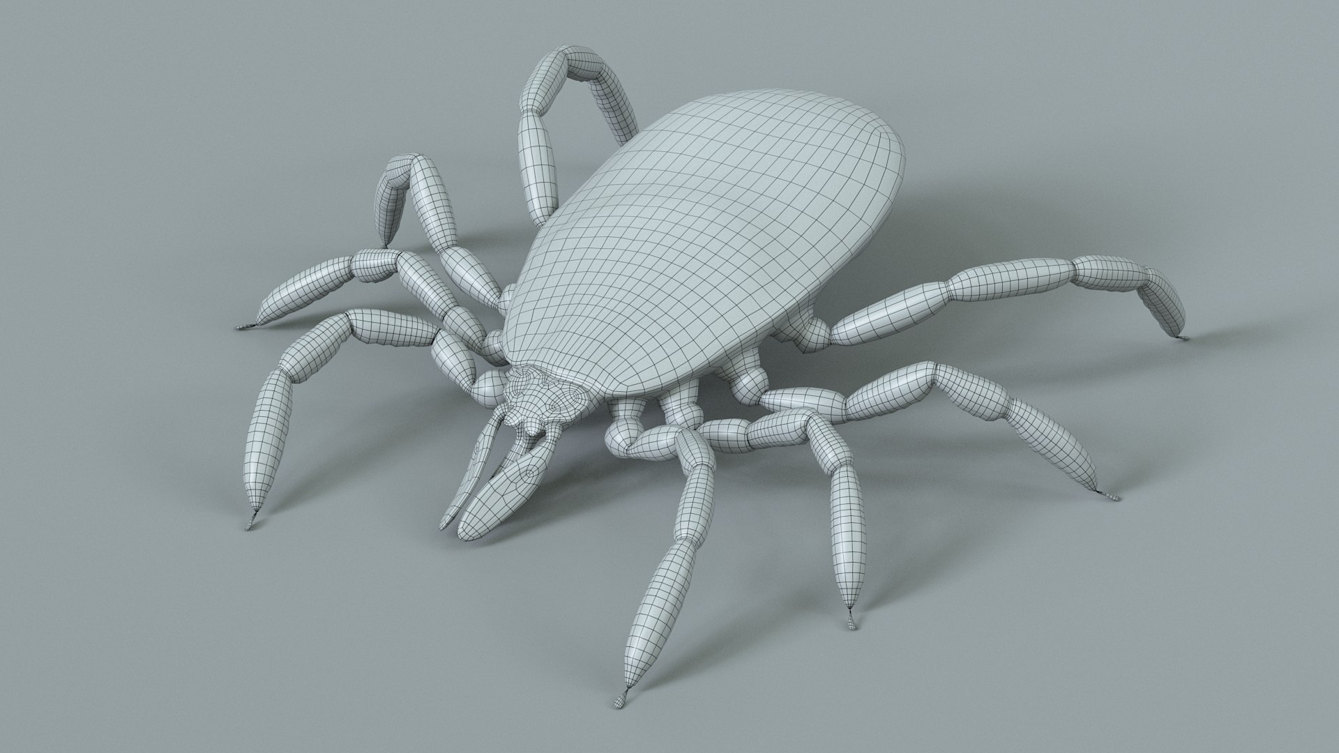 3D Tick Rigged Xgen https://p.turbosquid.com/ts-thumb/KC/7EmQjp/X5/tick_rigged_24/jpg/1717751379/1920x1080/fit_q87/b9e28cce0fd09ac0a6fa05e26d84322aa66509a7/tick_rigged_24.jpg
