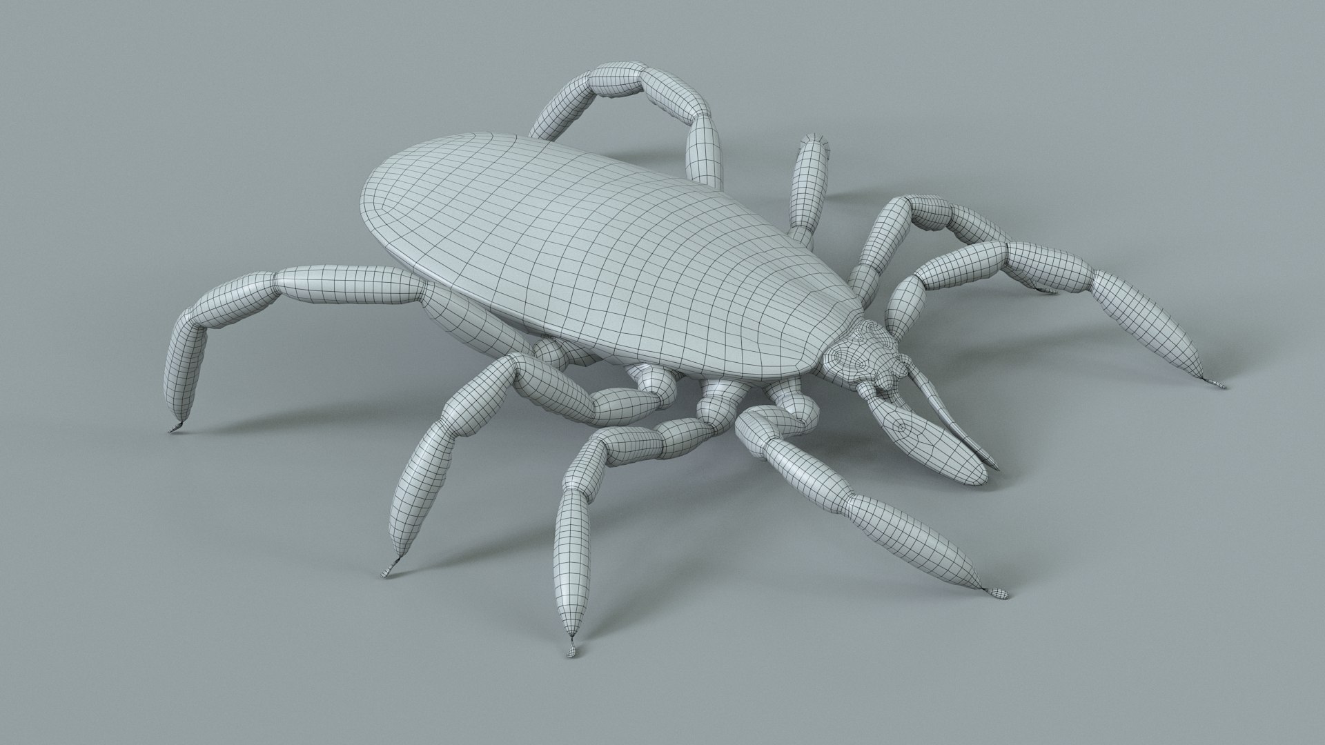 3D Tick Rigged Xgen https://p.turbosquid.com/ts-thumb/KC/7EmQjp/aA/tick_rigged_19/jpg/1717751375/1920x1080/fit_q87/c03b76e4ac964cb765884e6bf7ef4ef155356706/tick_rigged_19.jpg