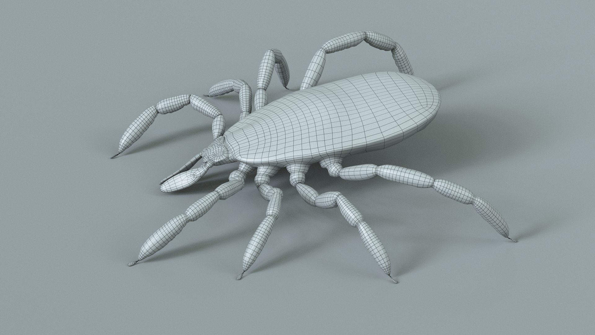 3D Tick Rigged Xgen https://p.turbosquid.com/ts-thumb/KC/7EmQjp/dZ/tick_rigged_23/jpg/1717751378/1920x1080/fit_q87/64a47586a4609209d2d683db3edc46bcf50b26db/tick_rigged_23.jpg