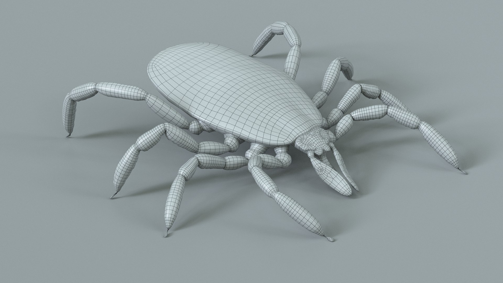 3D Tick Rigged Xgen https://p.turbosquid.com/ts-thumb/KC/7EmQjp/da/tick_rigged_18/jpg/1717751373/1920x1080/fit_q87/27d44f0e5250cc469958f53df2e7e7ab3a7eba8e/tick_rigged_18.jpg