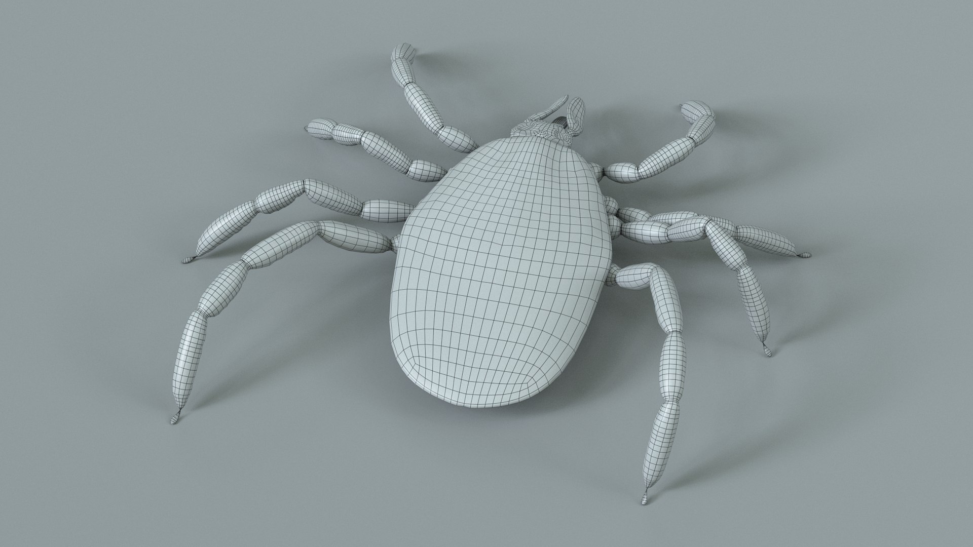 3D Tick Rigged Xgen https://p.turbosquid.com/ts-thumb/KC/7EmQjp/fW/tick_rigged_21/jpg/1717751377/1920x1080/fit_q87/38ba4ff106727ebc32efc83e5a3b57b493be7e0b/tick_rigged_21.jpg