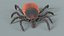 Tick Rigged Xgen