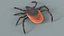 Tick Rigged Xgen