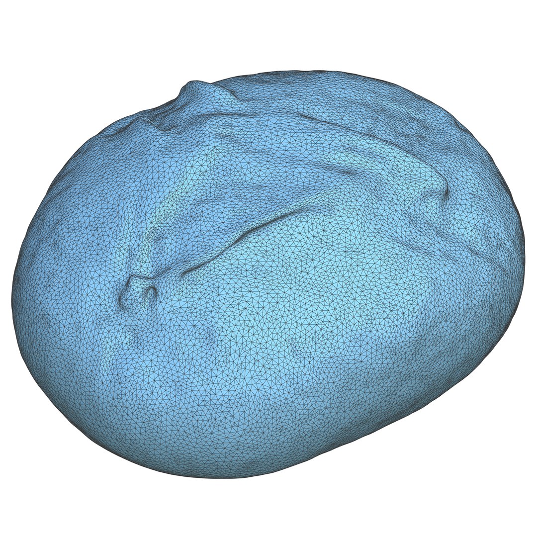 Realistic Bread No 1 3D model https://p.turbosquid.com/ts-thumb/KC/RtAhTF/mh/model6/png/1717064803/1920x1080/fit_q87/1e76e9ea85adfc28bae4b28b0892502516f88640/model6.jpg