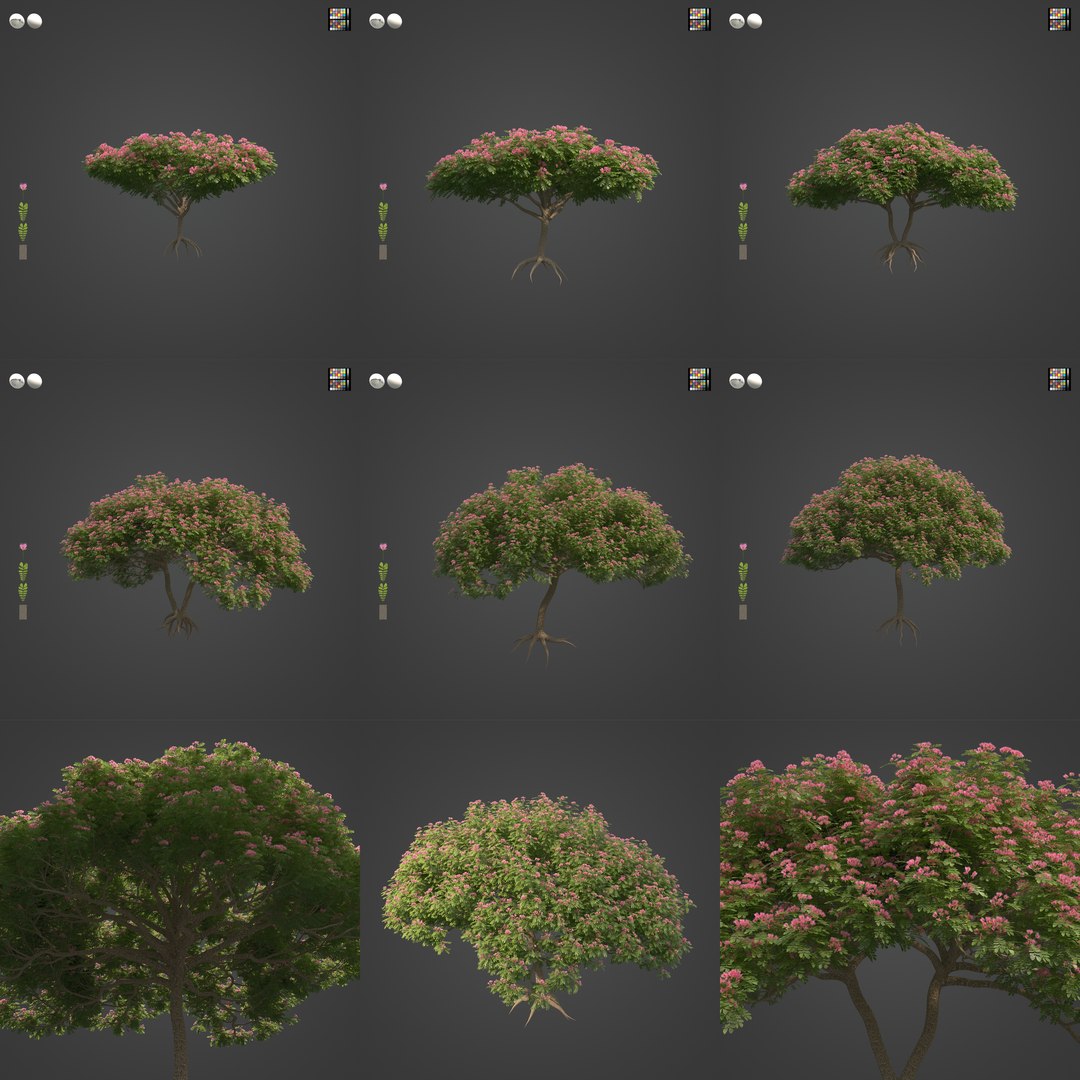2021 PBR Monkey Pod Tree Collection - Samanea Saman 3D Model ...