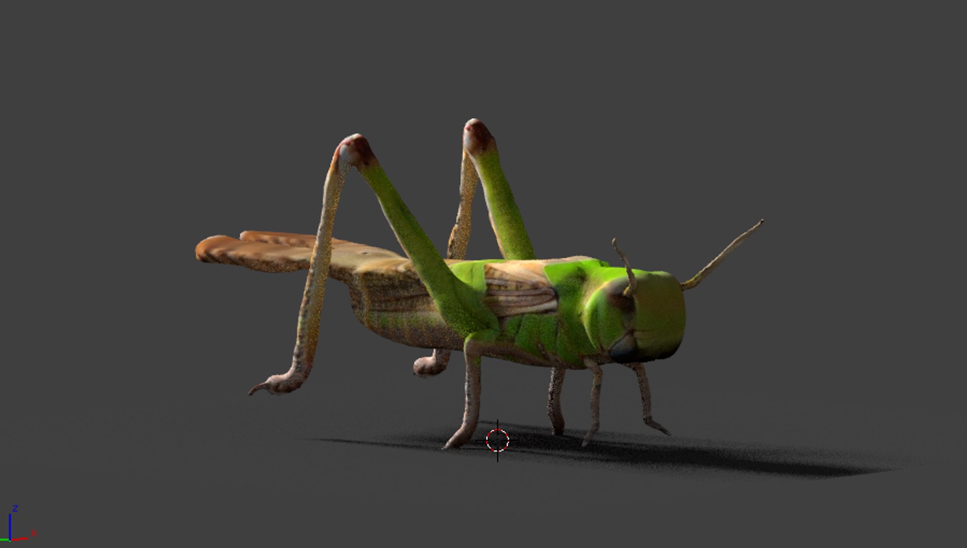 Grasshopper Hopper Grass Model - TurboSquid 1302538