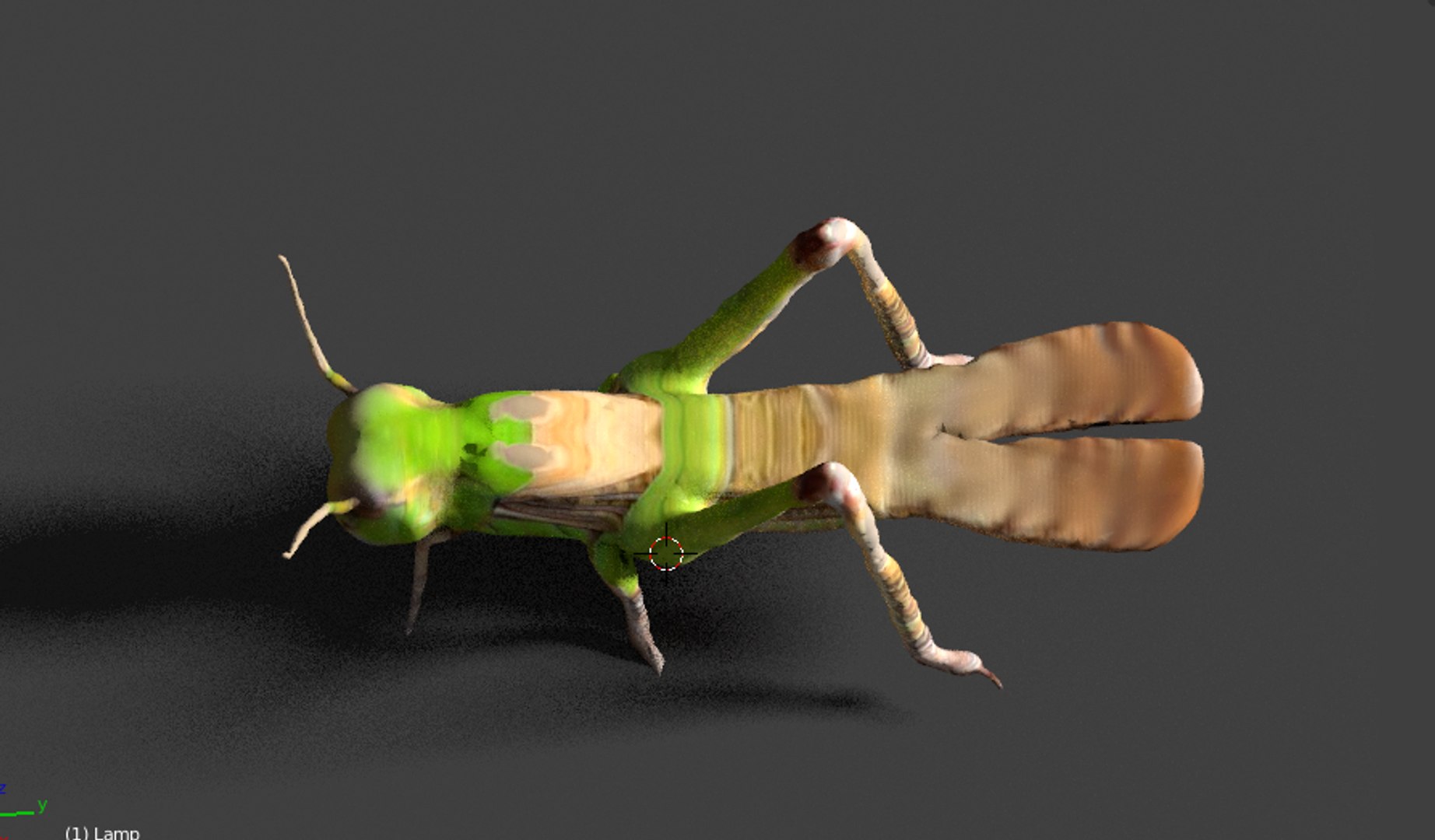 Grasshopper Hopper Grass Model - TurboSquid 1302538