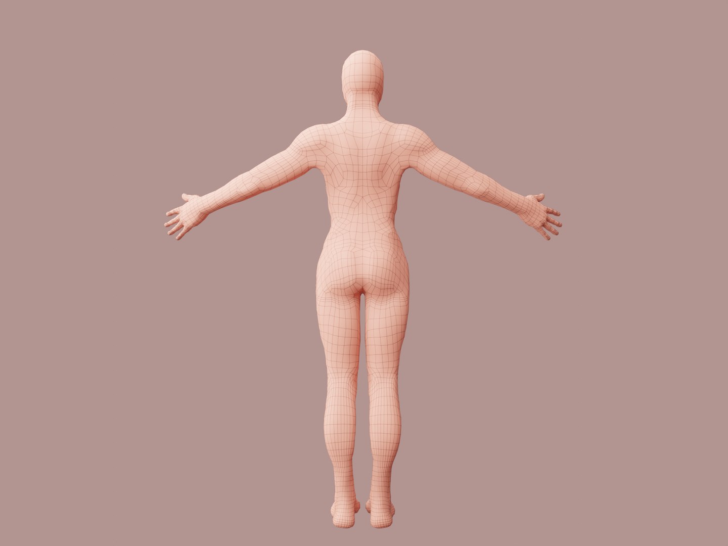 Human Base Model 3D Model - TurboSquid 2053795