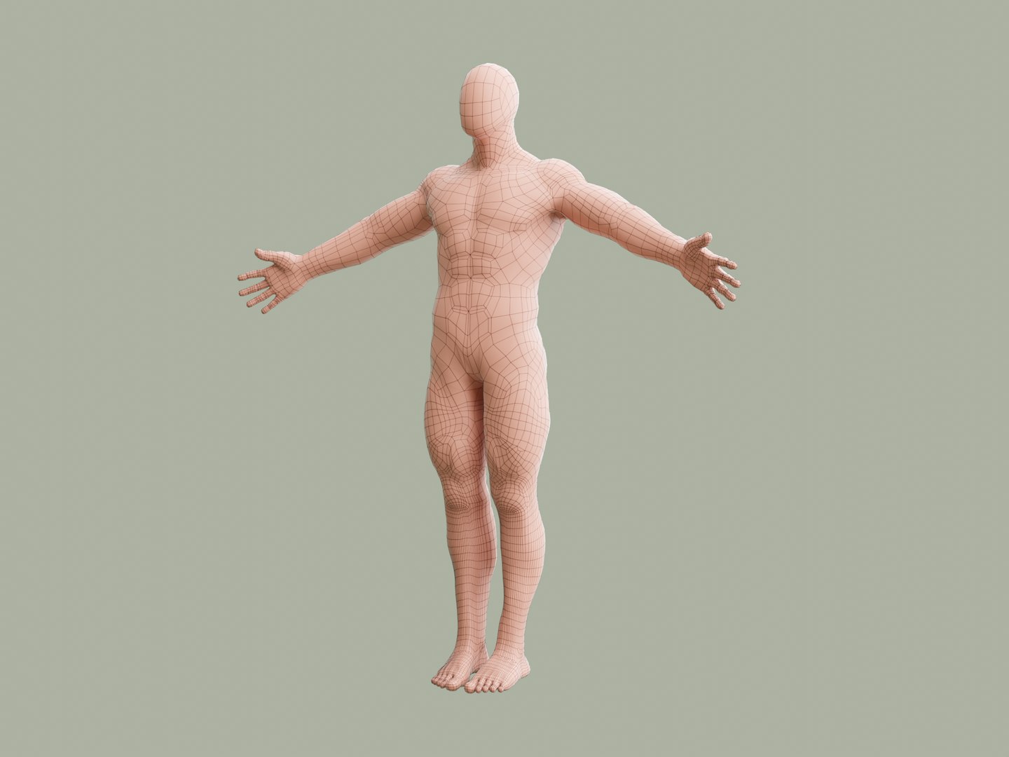 Human Base Model 3D Model - TurboSquid 2053795