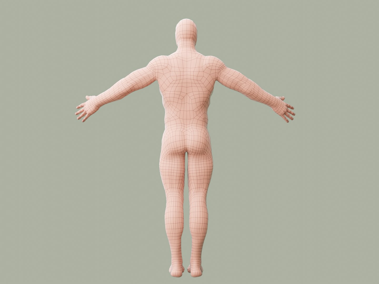 Human Base Model 3D Model - TurboSquid 2053795