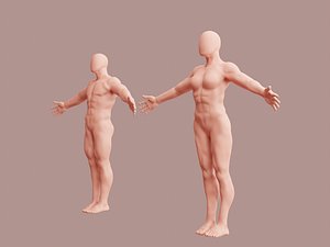 Human base model
