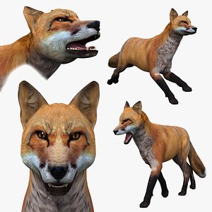 My Fox - 3d animated fox model 3D model