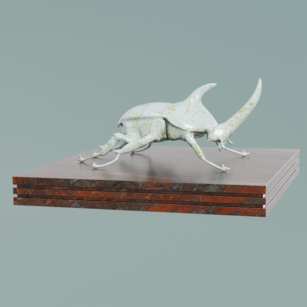 House Decoration Rhinoceros Beetle Statue Low-poly 3D model 3D model https://p.turbosquid.com/ts-thumb/KD/Irf5Jw/Ro/t5/jpg/1731481019/1920x1080/fit_q87/91b75b86b31f1f6b7f0f0e8d1ffae676af923d0b/t5.jpg