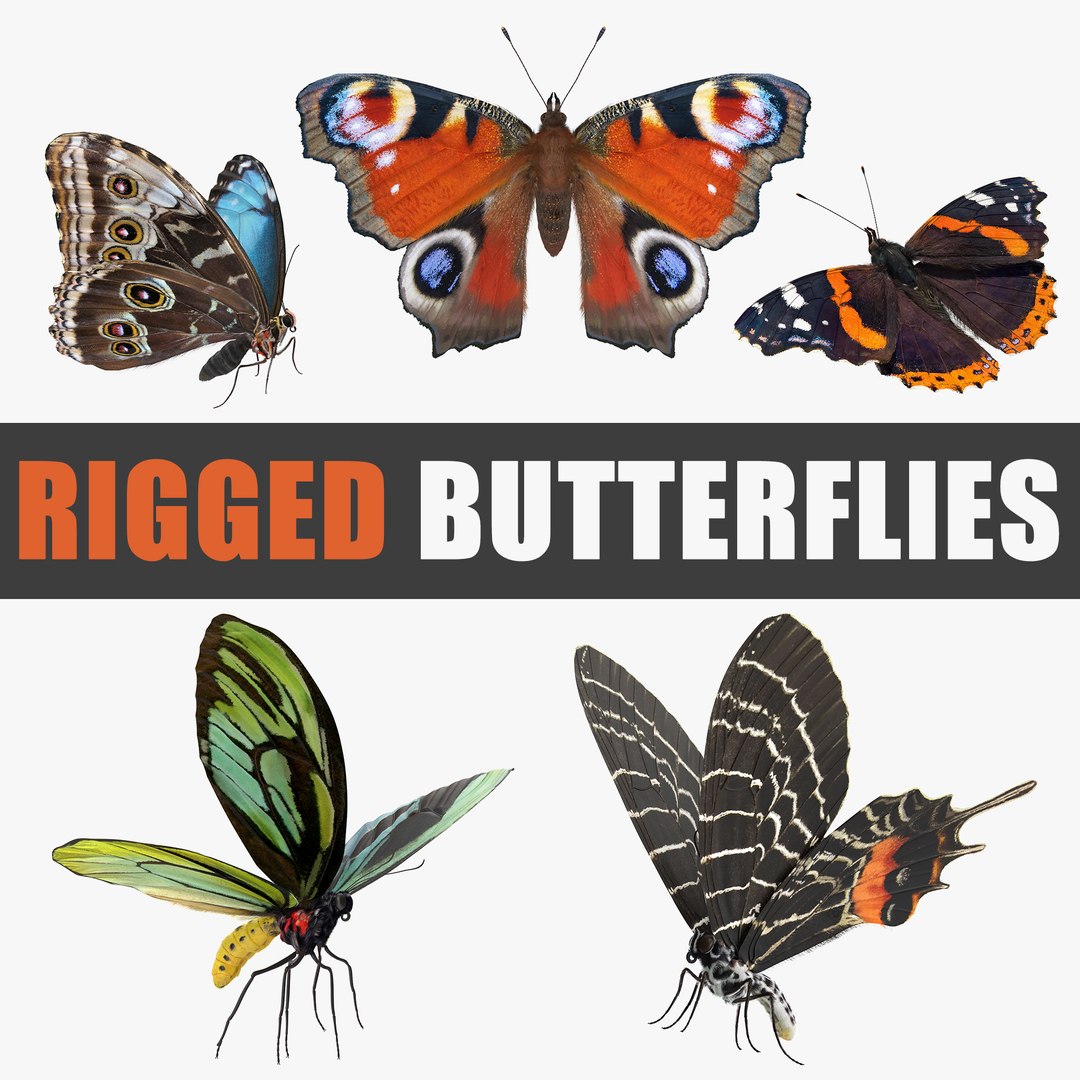 Butterflies Rigged 3D Models Collection 3D model preview