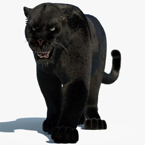 3D Animated Black Panther 3D Model with Fur model