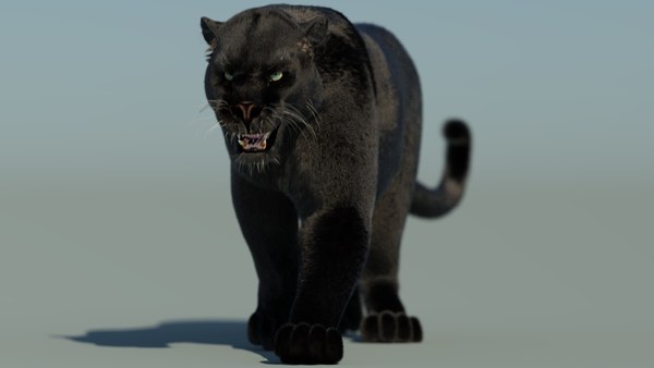 modelo 3d Modelo 3D animado de pantera negra con pelaje