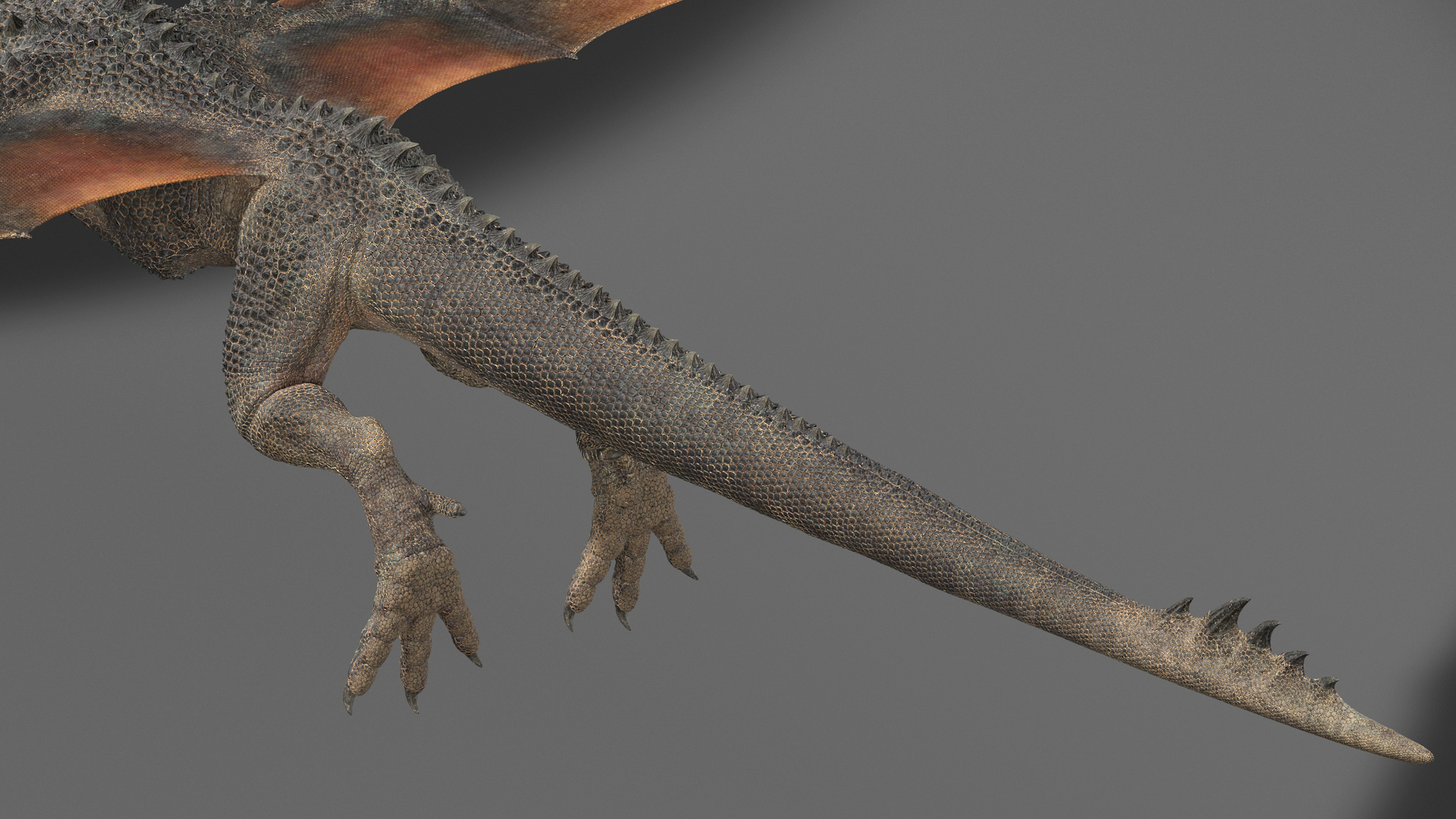 3D dragon rig black - TurboSquid 1569384