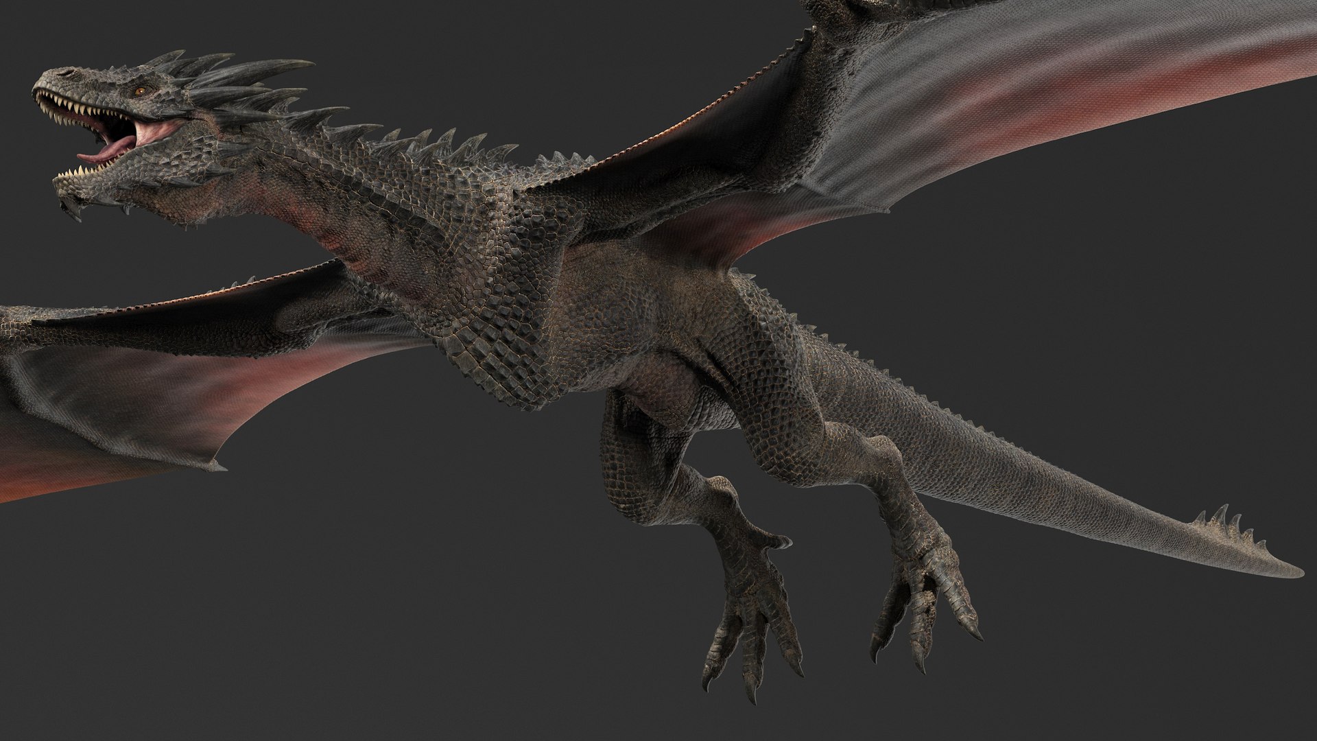 3D dragon rig black - TurboSquid 1569384