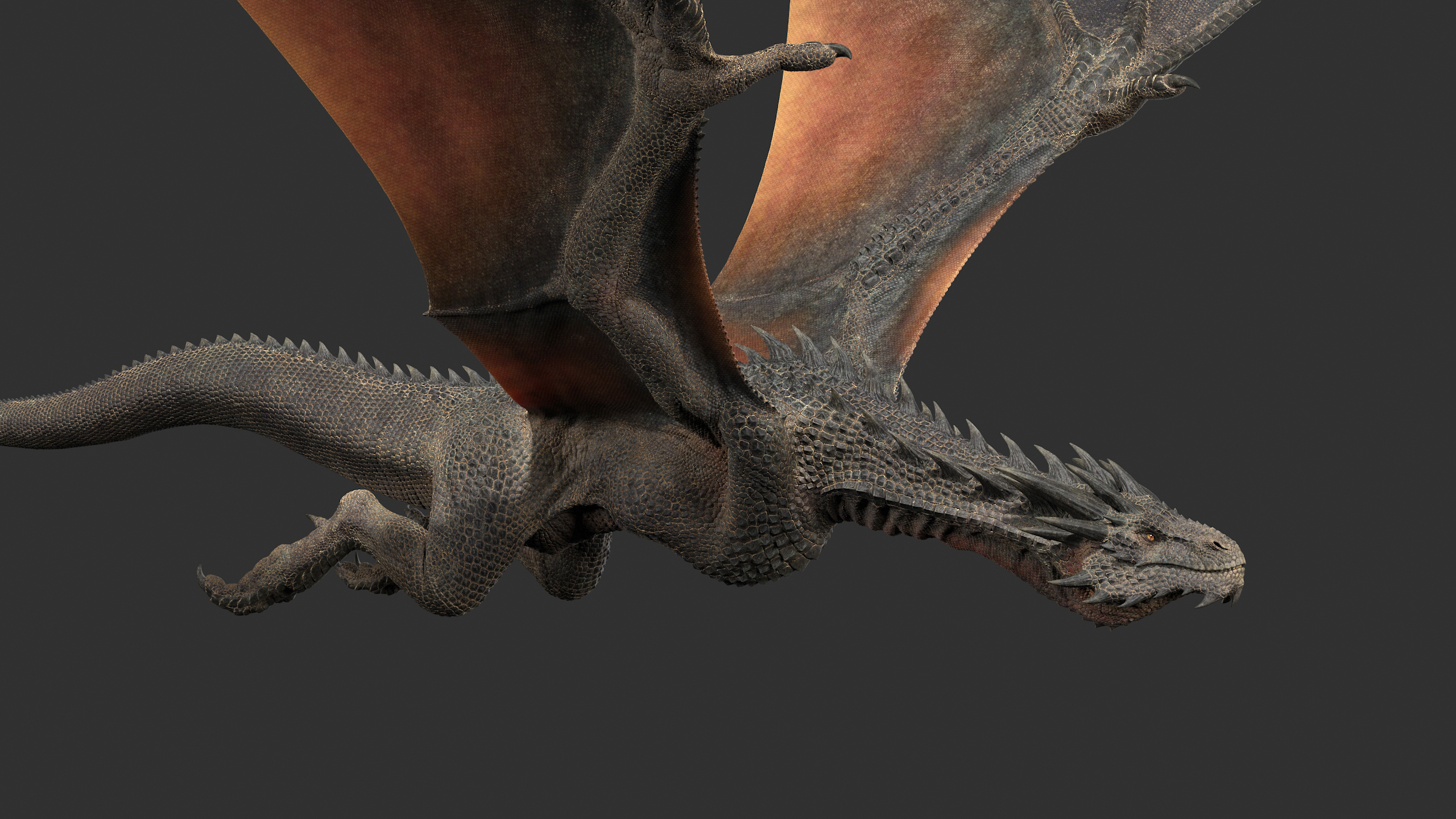 3D dragon rig black - TurboSquid 1569384